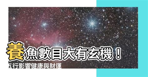 生肖養魚數量|【魚隻數量】養魚數目大有玄機！五行影響健康與財運？